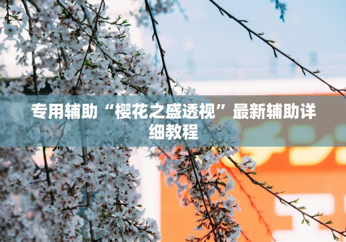 专用辅助“樱花之盛透视	”最新辅助详细教程