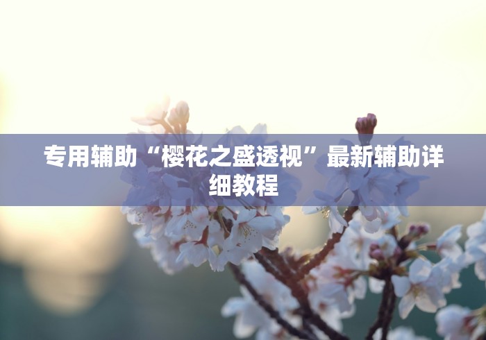 专用辅助“樱花之盛透视”最新辅助详细教程