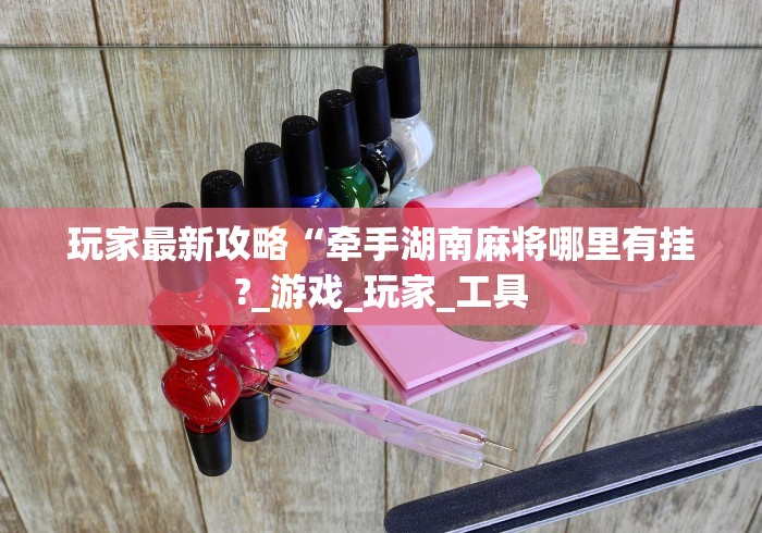 玩家最新攻略“牵手湖南麻将哪里有挂?_游戏_玩家_工具