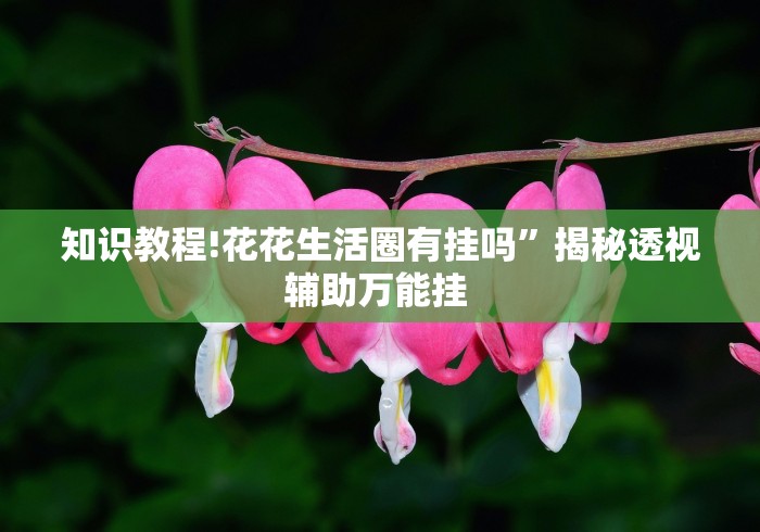 知识教程!花花生活圈有挂吗”揭秘透视辅助万能挂 