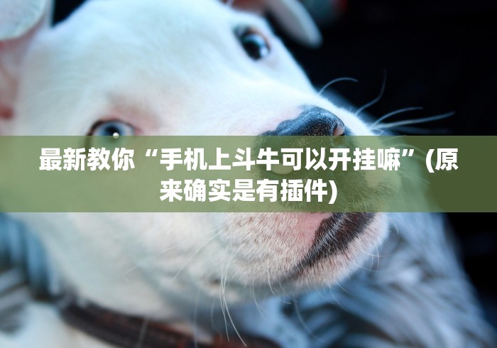 最新教你“手机上斗牛可以开挂嘛	”(原来确实是有插件)