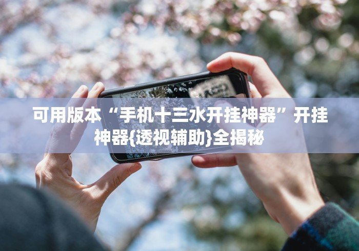 可用版本“手机十三水开挂神器”开挂神器{透视辅助}全揭秘