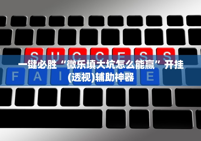 一键必胜“微乐填大坑怎么能赢”开挂(透视)辅助神器