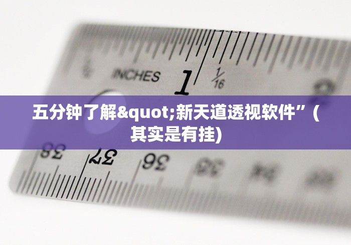 五分钟了解"新天道透视软件”(其实是有挂)