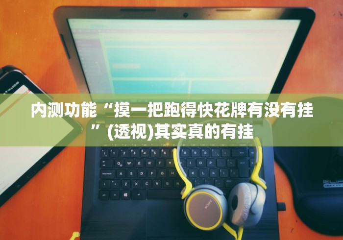 内测功能“摸一把跑得快花牌有没有挂	”(透视)其实真的有挂
