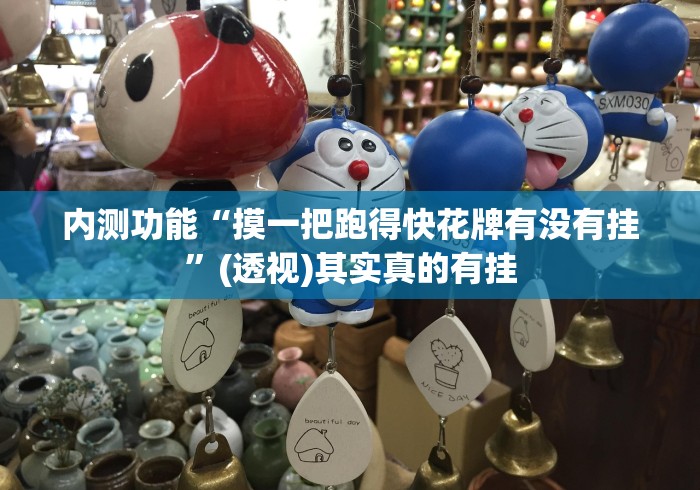 内测功能“摸一把跑得快花牌有没有挂”(透视)其实真的有挂
