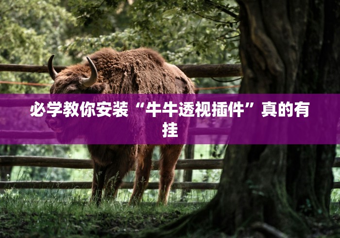 必学教你安装“牛牛透视插件	”真的有挂