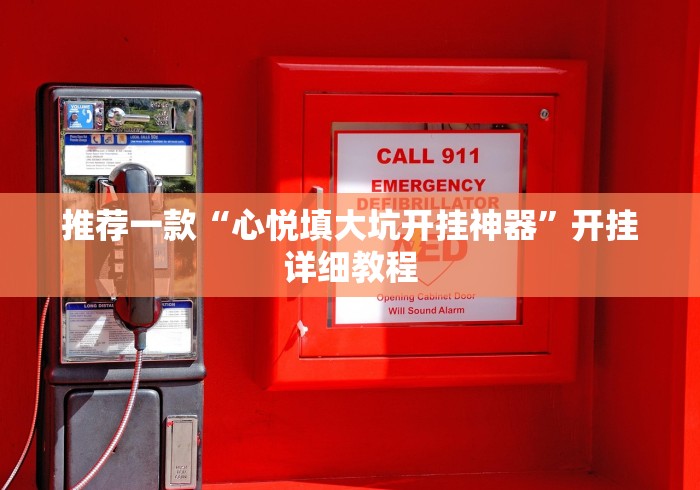 推荐一款“心悦填大坑开挂神器”开挂详细教程