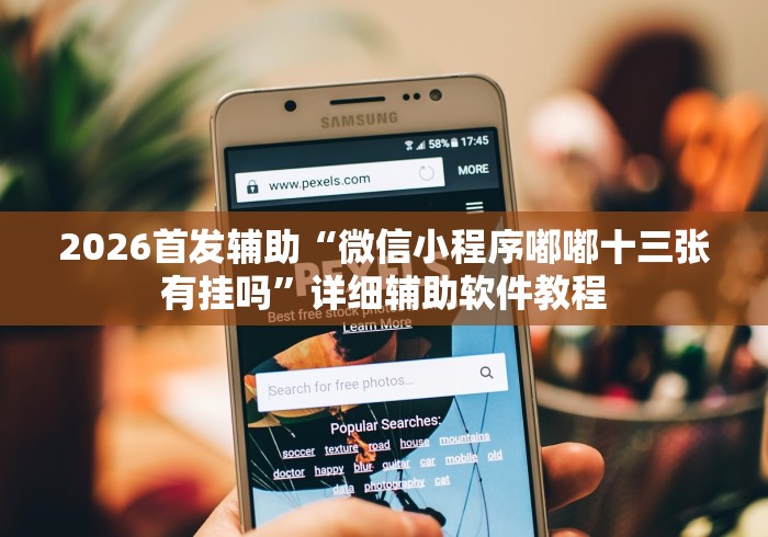 2026首发辅助“微信小程序嘟嘟十三张有挂吗”详细辅助软件教程