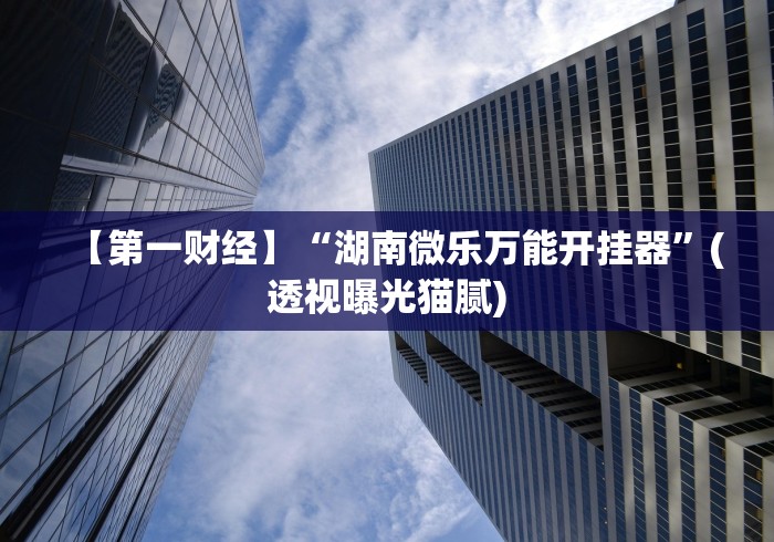 【第一财经】“湖南微乐万能开挂器”(透视曝光猫腻)