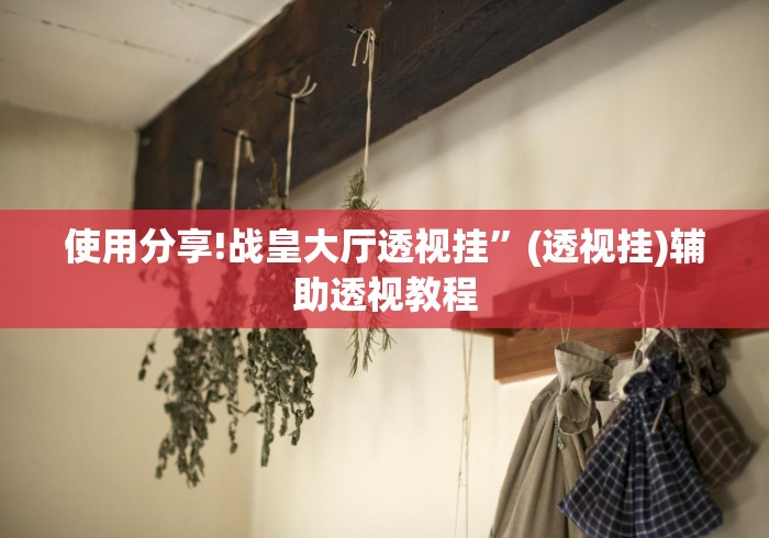 使用分享!战皇大厅透视挂	”(透视挂)辅助透视教程