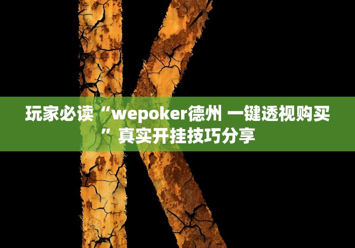 玩家必读“wepoker德州 一键透视购买”真实开挂技巧分享