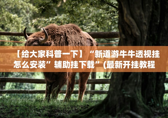 【给大家科普一下】“新道游牛牛透视挂怎么安装	”辅助挂下载”(最新开挂教程)