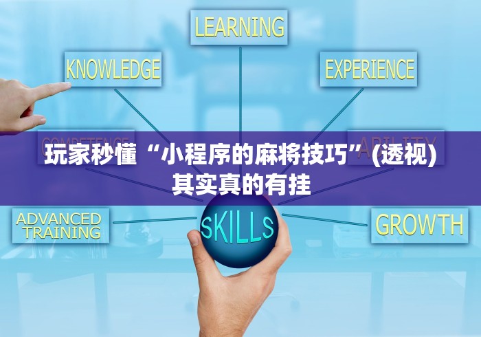 玩家秒懂“小程序的麻将技巧	”(透视)其实真的有挂