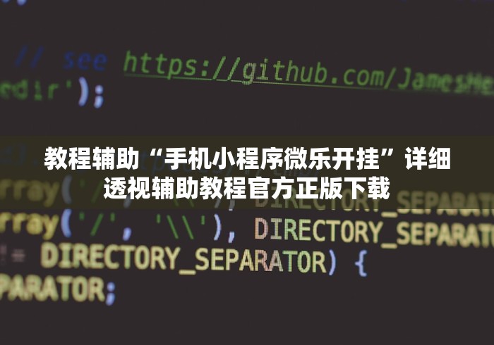 教程辅助“手机小程序微乐开挂”详细透视辅助教程官方正版下载