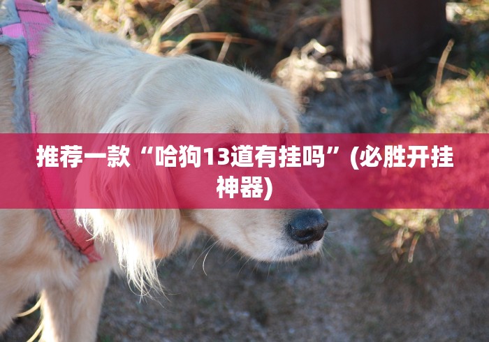 推荐一款“哈狗13道有挂吗”(必胜开挂神器)