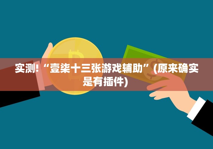 实测!“壹柒十三张游戏辅助	”(原来确实是有插件) 
