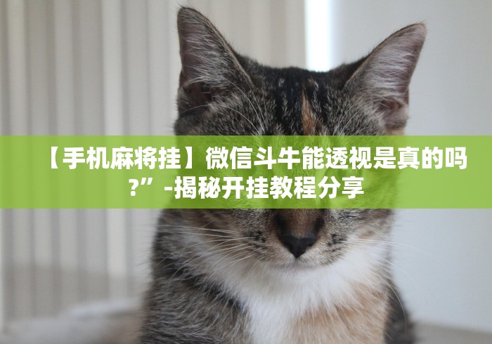 【手机麻将挂】微信斗牛能透视是真的吗?	”-揭秘开挂教程分享