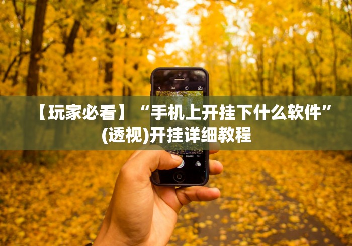 【玩家必看】“手机上开挂下什么软件”(透视)开挂详细教程