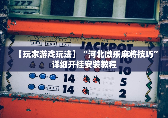 【玩家游戏玩法】“河北微乐麻将技巧”详细开挂安装教程