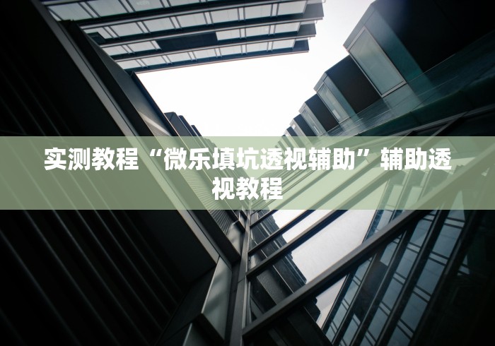 实测教程“微乐填坑透视辅助	”辅助透视教程