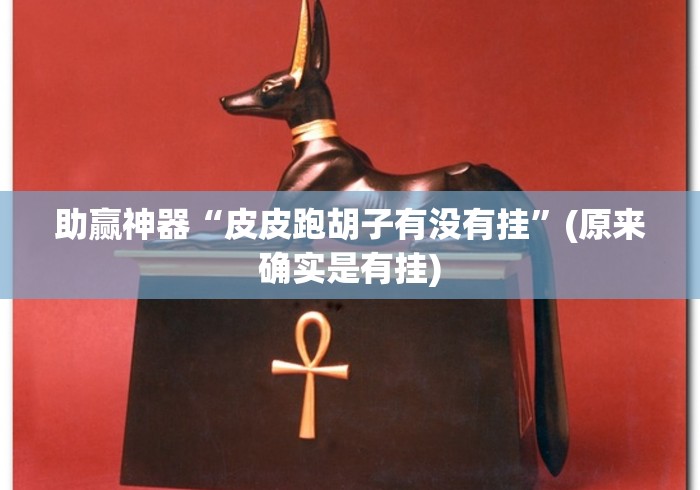 助赢神器“皮皮跑胡子有没有挂”(原来确实是有挂)