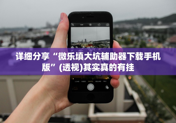 详细分享“微乐填大坑辅助器下载手机版”(透视)其实真的有挂