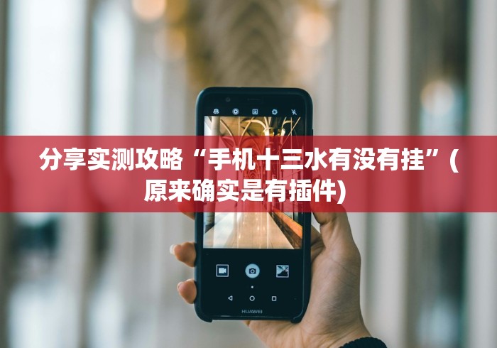 分享实测攻略“手机十三水有没有挂”(原来确实是有插件) 