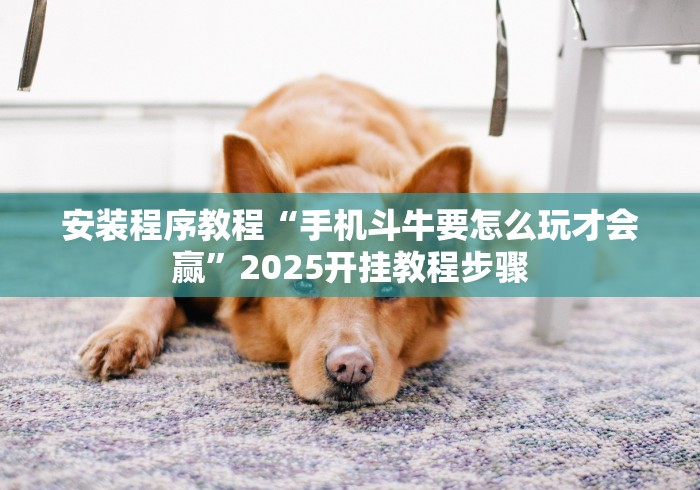 安装程序教程“手机斗牛要怎么玩才会赢”2025开挂教程步骤