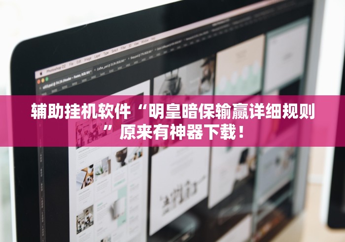 辅助挂机软件“明皇暗保输赢详细规则	”原来有神器下载！