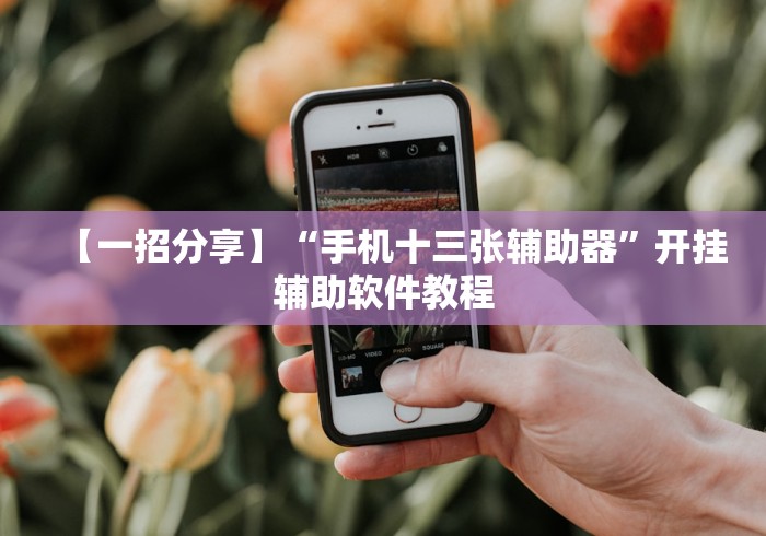 【一招分享】“手机十三张辅助器”开挂辅助软件教程