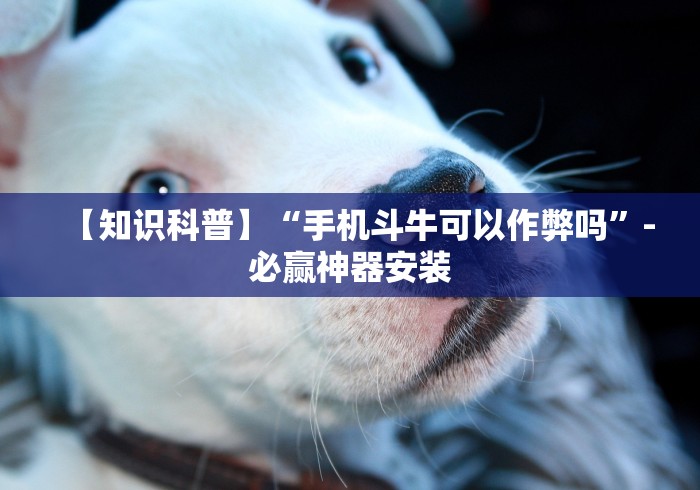 【知识科普】“手机斗牛可以作弊吗”-必赢神器安装