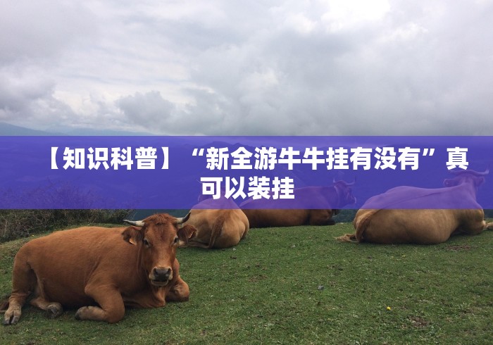 【知识科普】“新全游牛牛挂有没有”真可以装挂