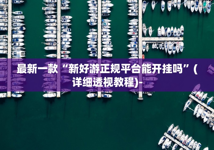 最新一款“新好游正规平台能开挂吗	”(详细透视教程)-