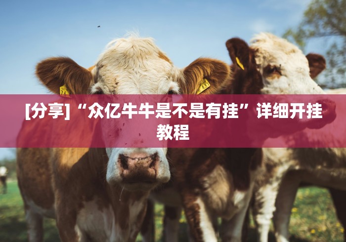 [分享]“众亿牛牛是不是有挂”详细开挂教程