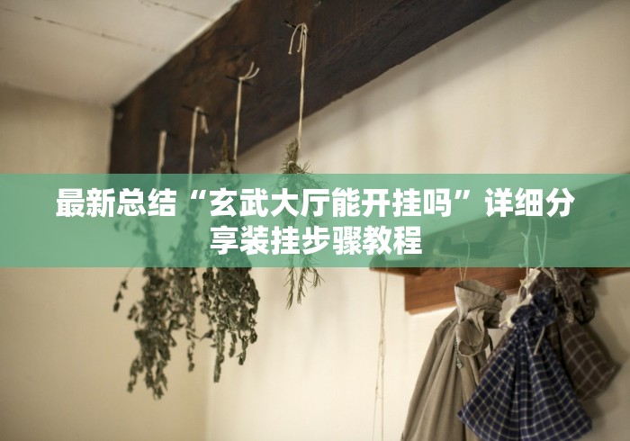 最新总结“玄武大厅能开挂吗”详细分享装挂步骤教程
