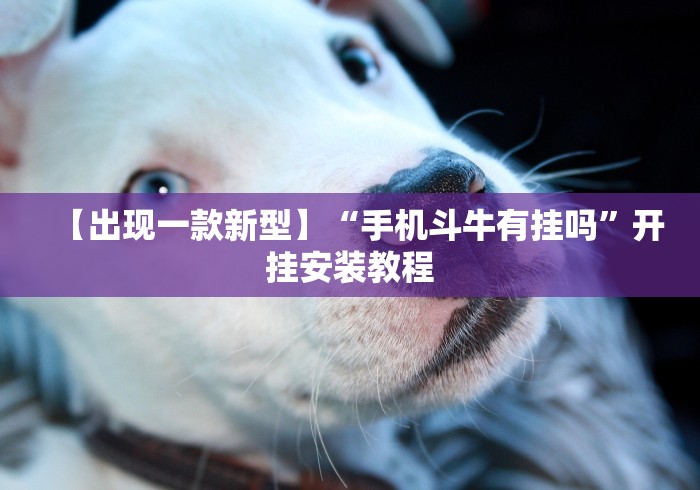 【出现一款新型】“手机斗牛有挂吗”开挂安装教程