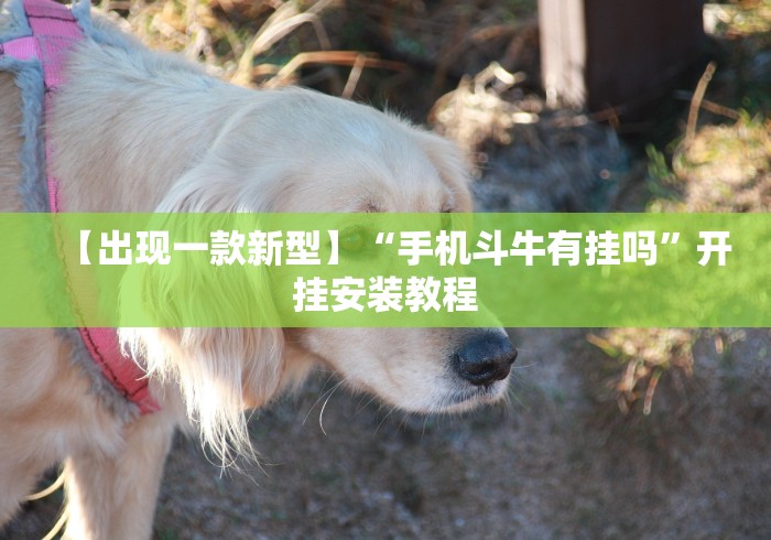 【出现一款新型】“手机斗牛有挂吗	”开挂安装教程