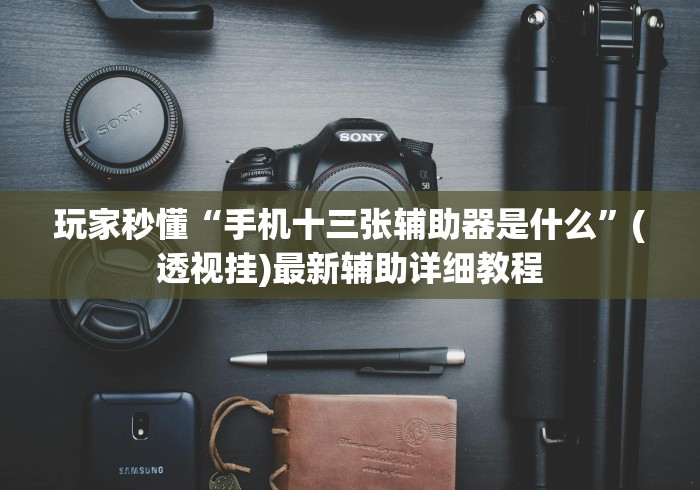玩家秒懂“手机十三张辅助器是什么	”(透视挂)最新辅助详细教程