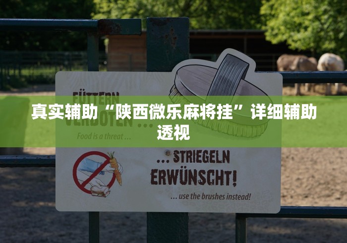 真实辅助“陕西微乐麻将挂”详细辅助透视