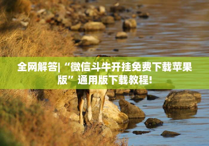 全网解答|“微信斗牛开挂免费下载苹果版”通用版下载教程!