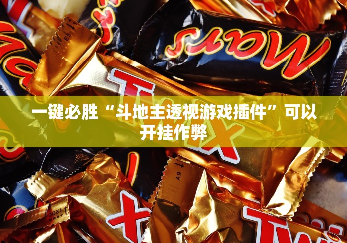 一键必胜“斗地主透视游戏插件”可以开挂作弊