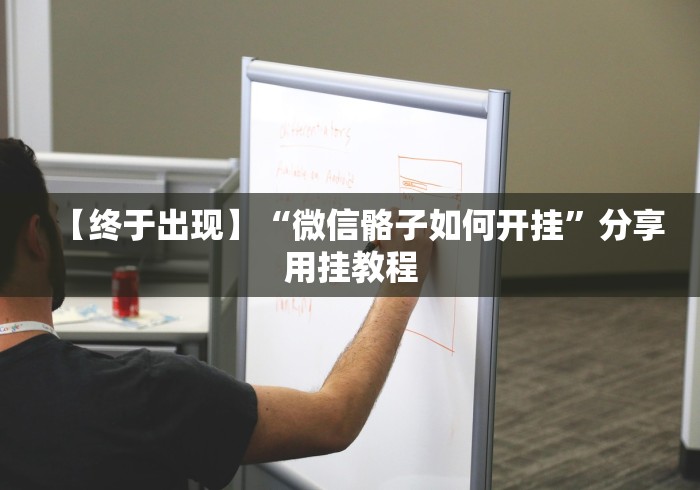 【终于出现】“微信骼子如何开挂”分享用挂教程