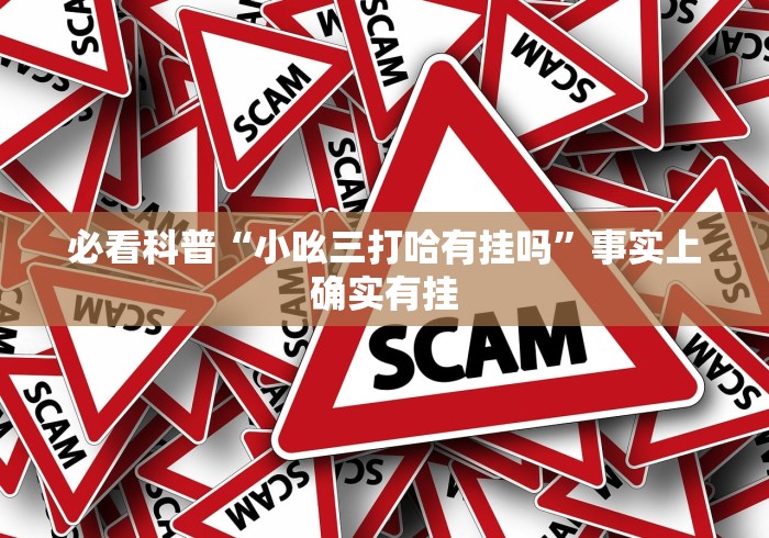 必看科普“小吆三打哈有挂吗”事实上确实有挂