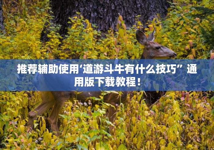 推荐辅助使用‘道游斗牛有什么技巧”通用版下载教程！