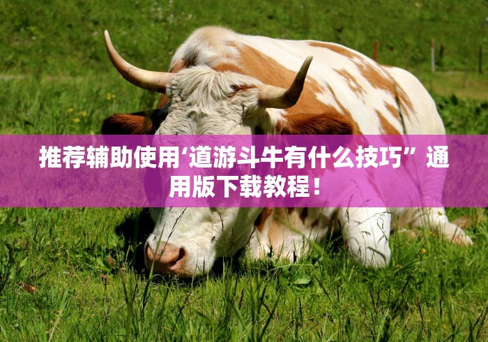 推荐辅助使用‘道游斗牛有什么技巧”通用版下载教程！