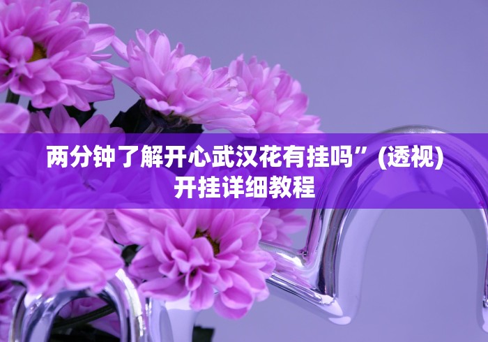 两分钟了解开心武汉花有挂吗”(透视)开挂详细教程