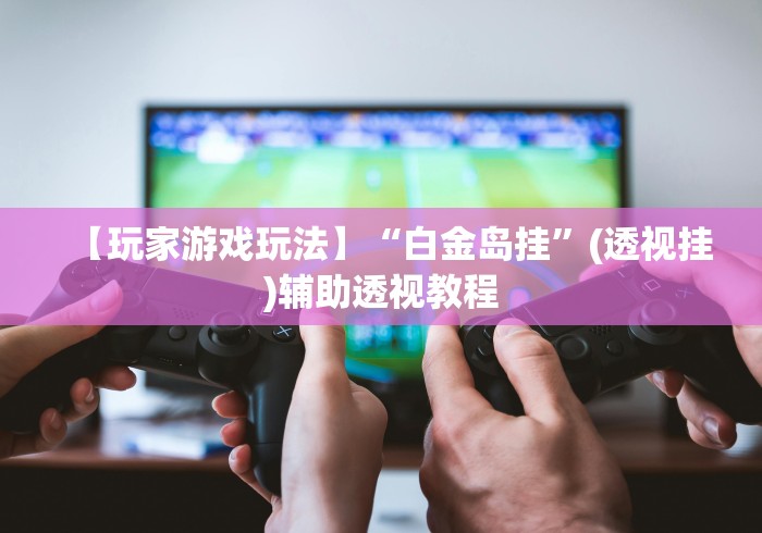 【玩家游戏玩法】“白金岛挂”(透视挂)辅助透视教程