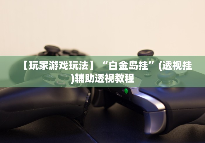 【玩家游戏玩法】“白金岛挂”(透视挂)辅助透视教程