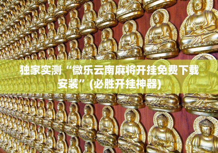 独家实测“微乐云南麻将开挂免费下载安装	”(必胜开挂神器)